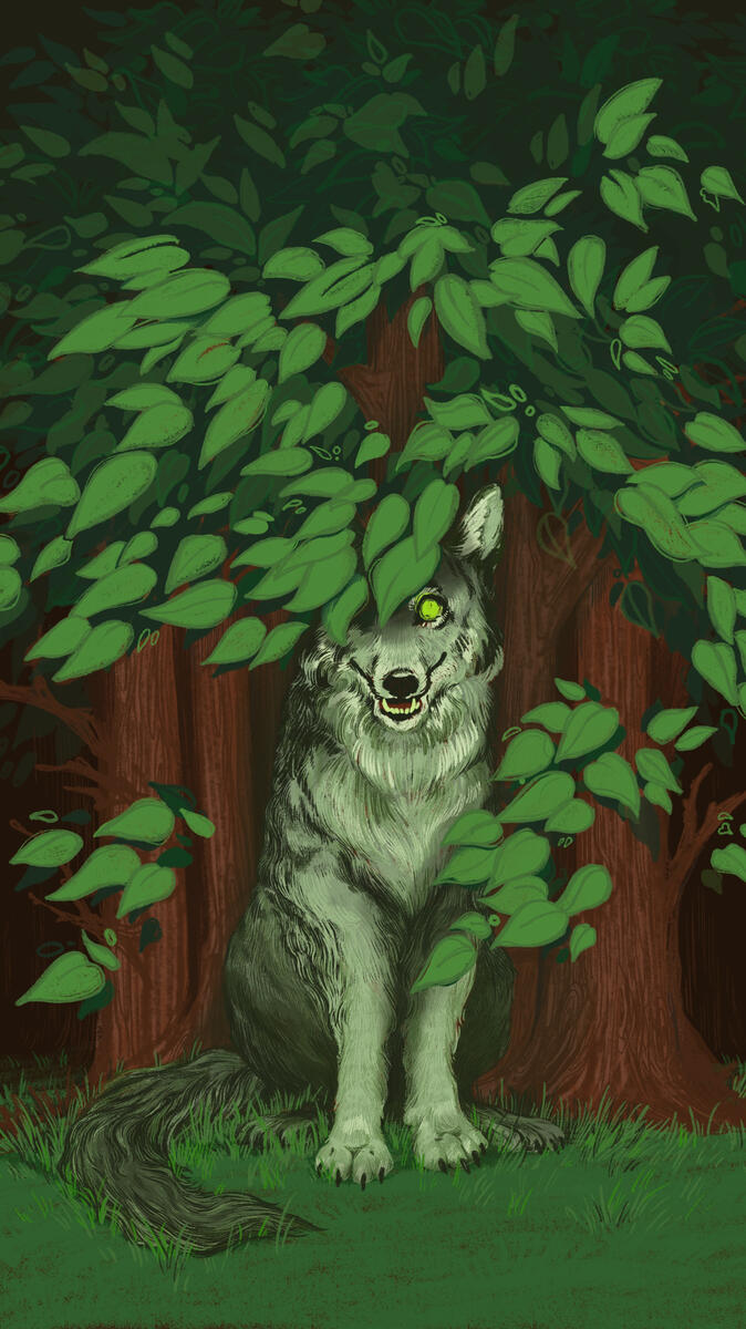 Forest for the Trees Forest for the Trees